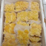 SUPPLIER BUAH FROZEN DI KOTA BEKASI